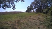The field cam, Aug 24, 2024 at 10:27am
