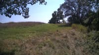 The field cam, Aug 24, 2024 at 11:55am