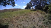The field cam, Sep 1, 2024 at 11:40am