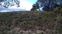 The field cam, Oct 5, 2024 at 10:05am