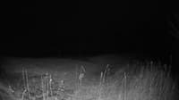The field cam, Nov 13, 2024 at 3:53pm
