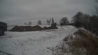 The field cam, Dec 2, 2024 at 11:51am