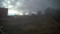 The field cam, Dec 9, 2024 at 10:58am