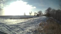 The field cam, Dec 11, 2024 at 12:47pm