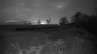 The field cam, Jan 2, 2025 at 3:18pm