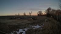 The field cam, Jan 8, 2025 at 5:59am
