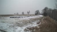 The field cam, Jan 9, 2025 at 2:56pm
