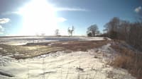 The field cam, Jan 31, 2025 at 12:58pm