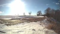 The field cam, Jan 31, 2025 at 1:06pm