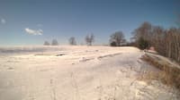 The field cam, Feb 6, 2025 at 8:40am
