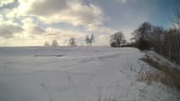 The field cam, Feb 6, 2025 at 9:36am