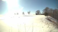 The field cam, Feb 16, 2025 at 12:18pm
