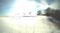The field cam, Feb 16, 2025 at 1:34pm