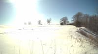The field cam, Feb 18, 2025 at 12:38pm