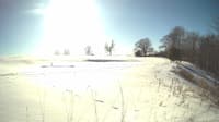 The field cam, Feb 18, 2025 at 1:12pm