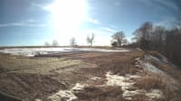 The field cam, Feb 27, 2025 at 1:29pm