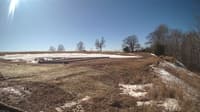 The field cam, Mar 1, 2025 at 11:16am