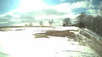 The field cam, Mar 6, 2025 at 12:37pm