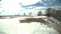 The field cam, Mar 7, 2025 at 11:40am