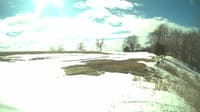 The field cam, Mar 7, 2025 at 12:09pm
