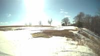 The field cam, Mar 7, 2025 at 1:00pm