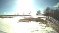 The field cam, Mar 7, 2025 at 1:38pm