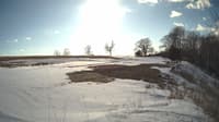 The field cam, Mar 7, 2025 at 1:48pm