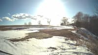 The field cam, Mar 8, 2025 at 2:17pm
