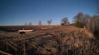 The field cam, Mar 20, 2025 at 6:13am