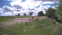 The field cam, May 23, 2025 at 12:50pm