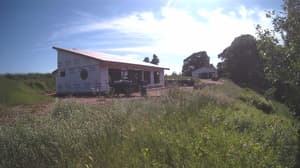 A newer photo from the camera