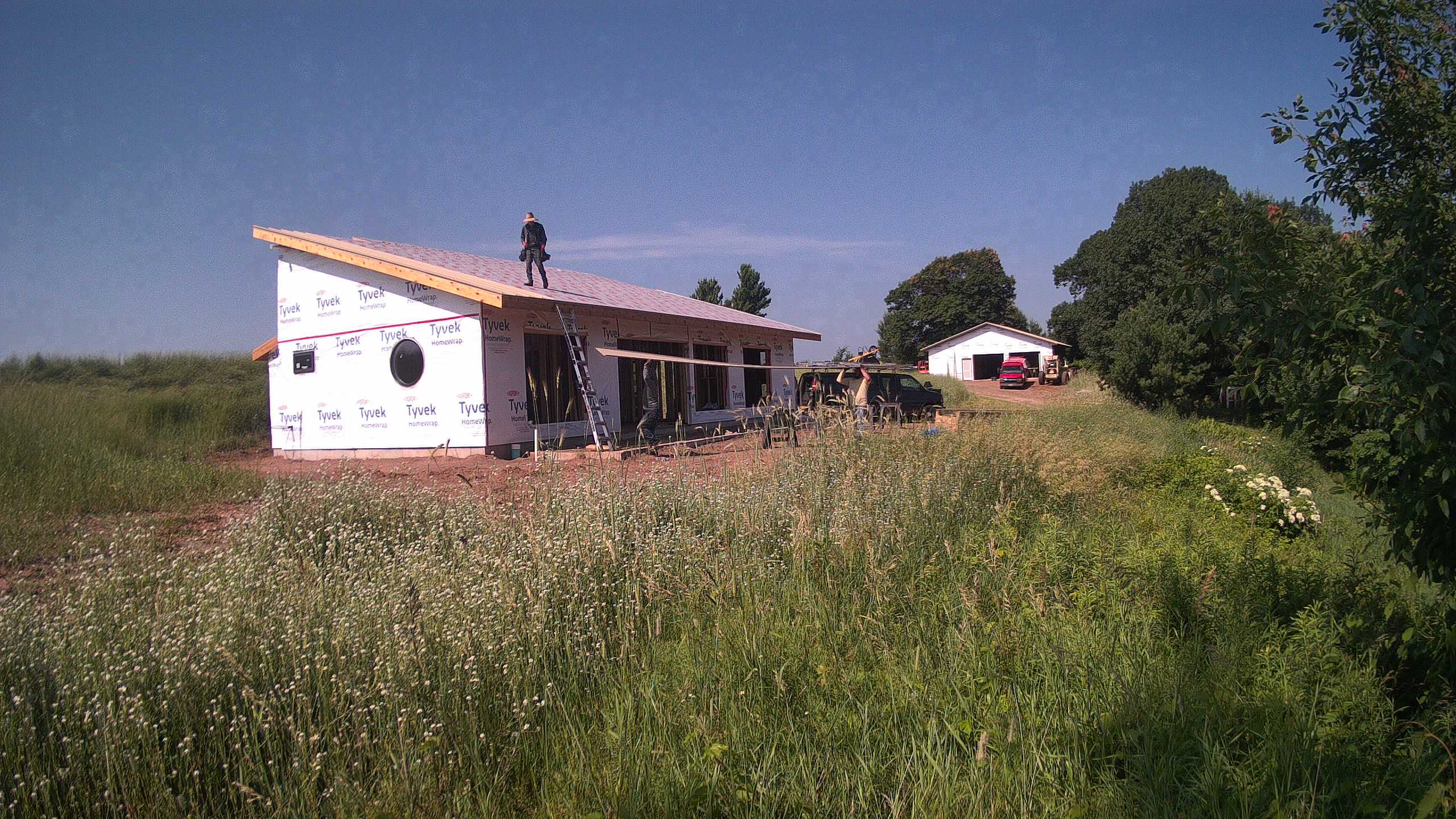A photo from the field camera