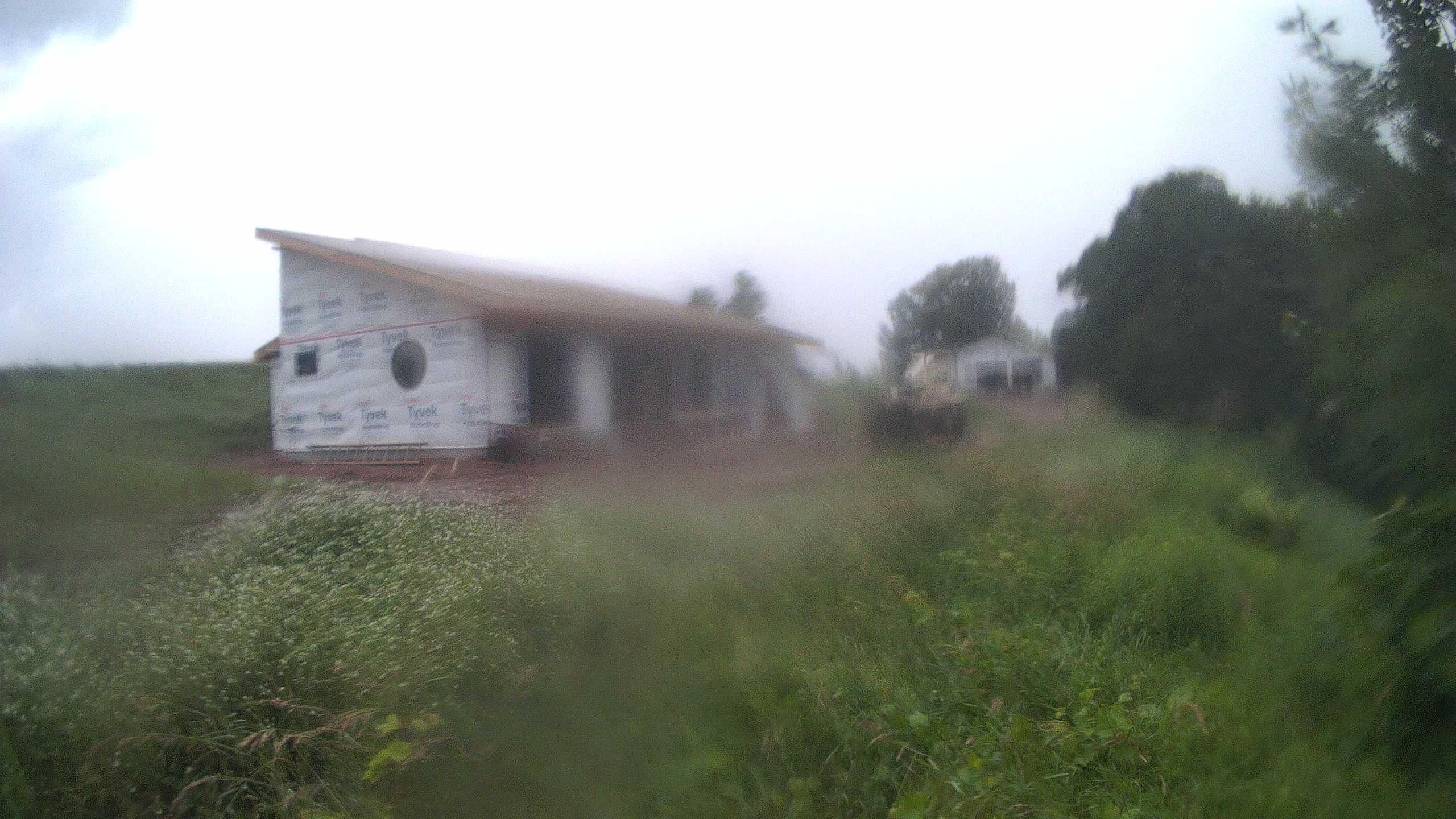 The field cam, Jul 15, 2025 at 3:54pm