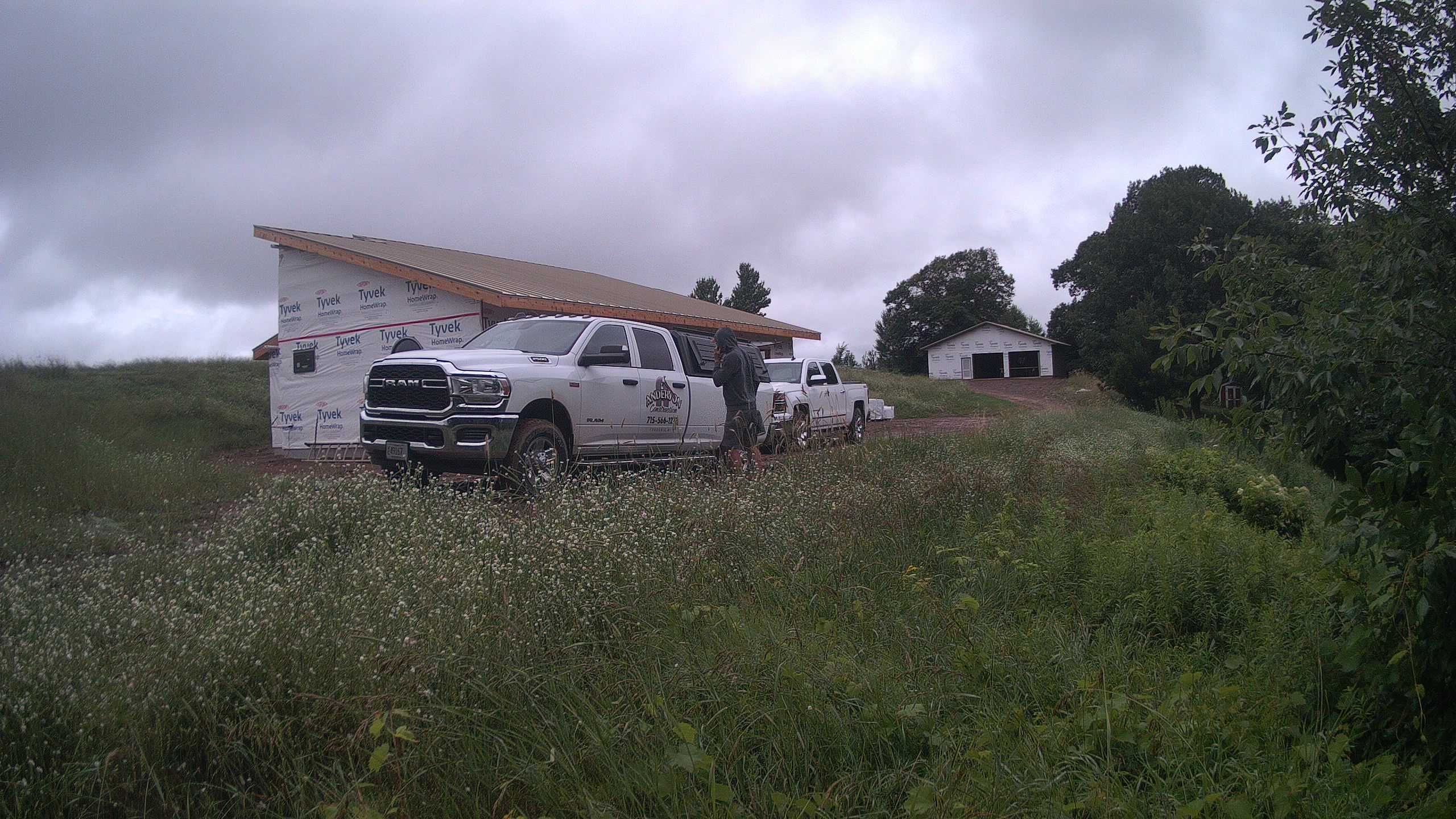 A photo from the field camera