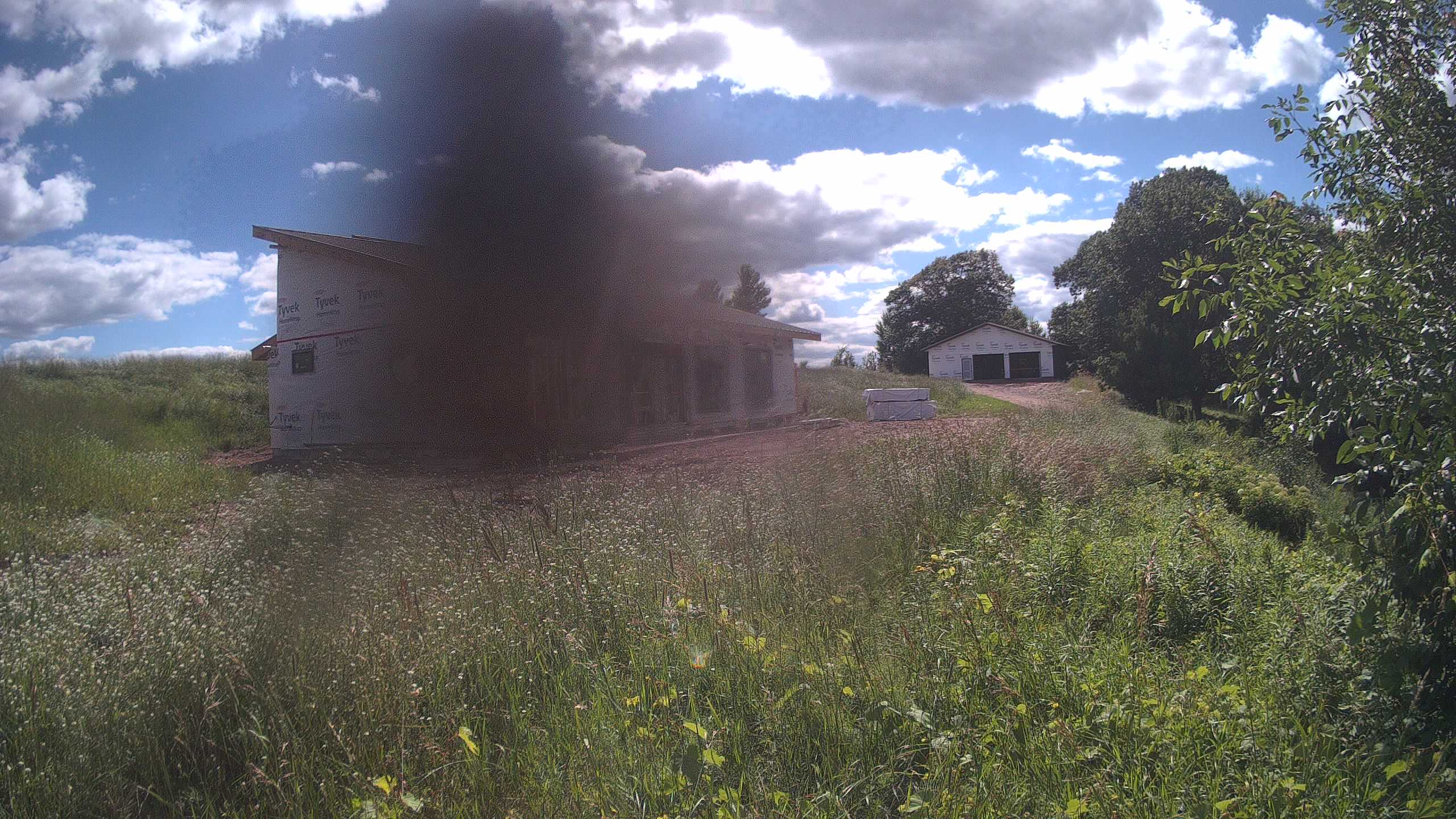 A photo from the field camera