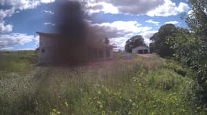 A newer photo from the camera