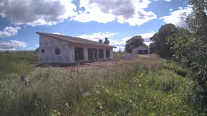 A newer photo from the camera