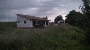 A newer photo from the camera