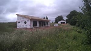 A newer photo from the camera