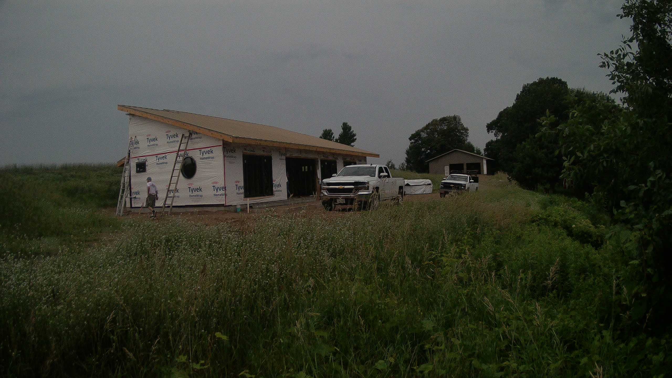 A photo from the field camera