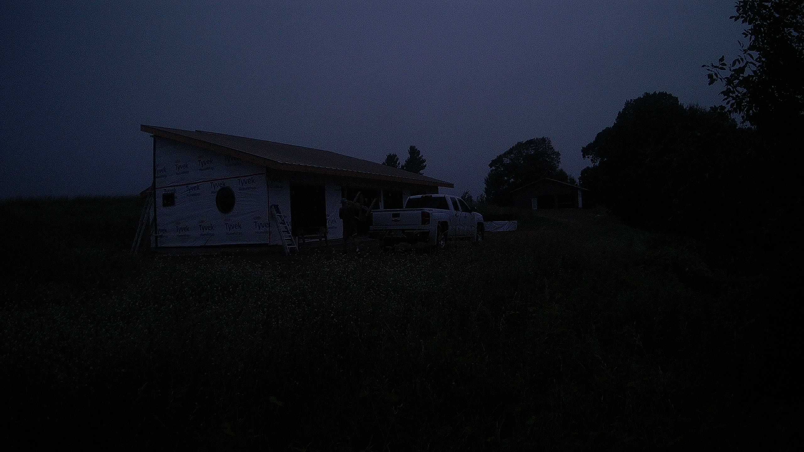 A photo from the field camera