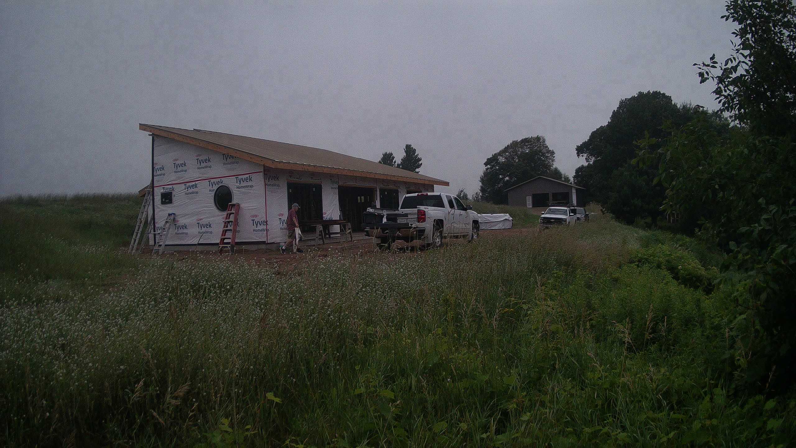 A photo from the field camera