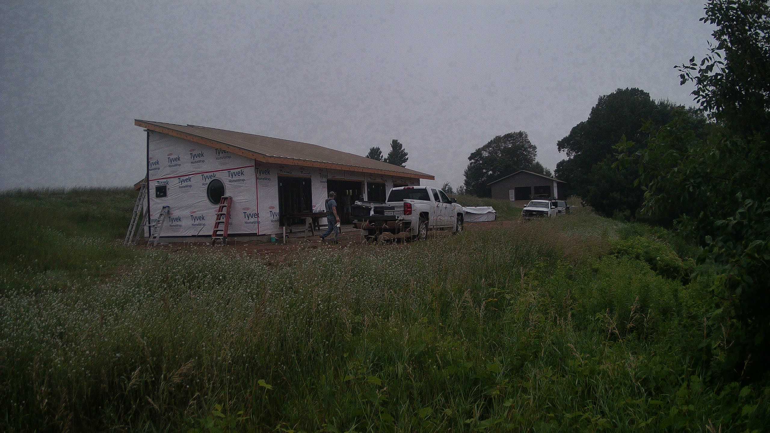 A photo from the field camera