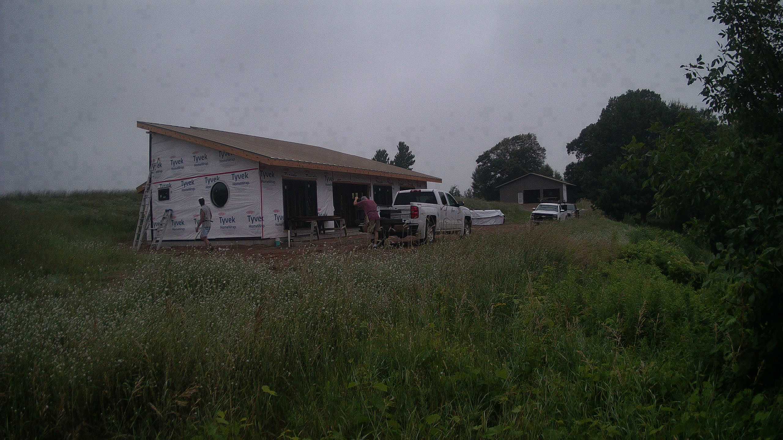 A photo from the field camera