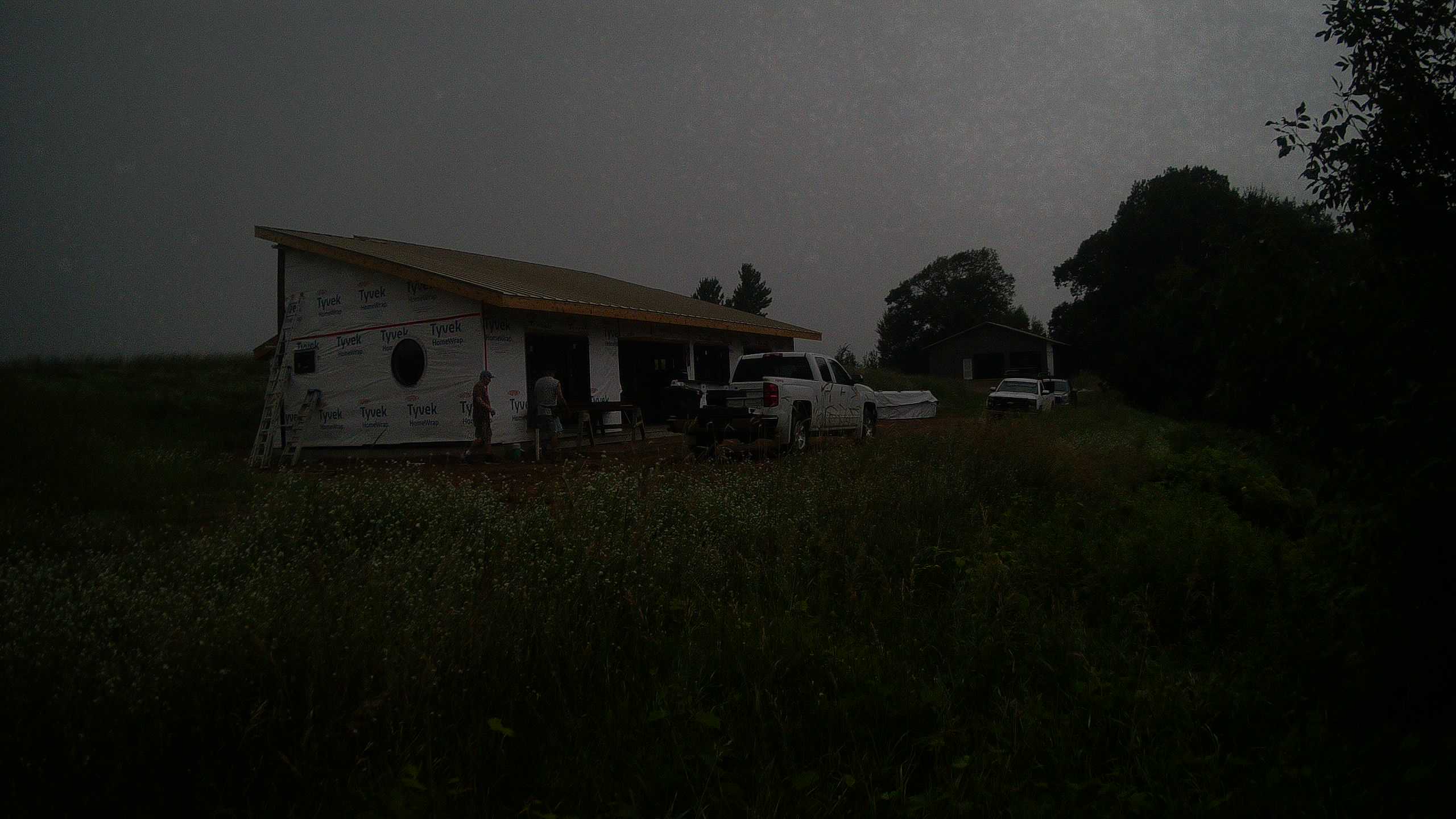 A photo from the field camera