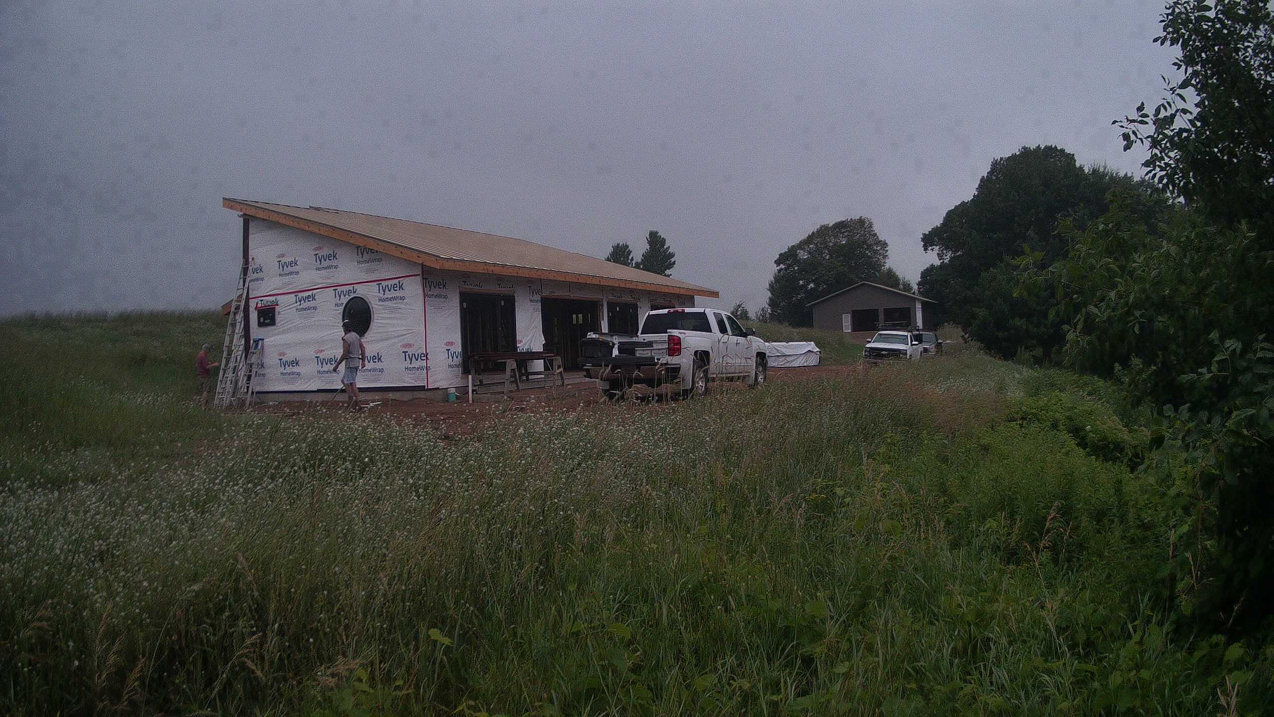 A photo from the field camera