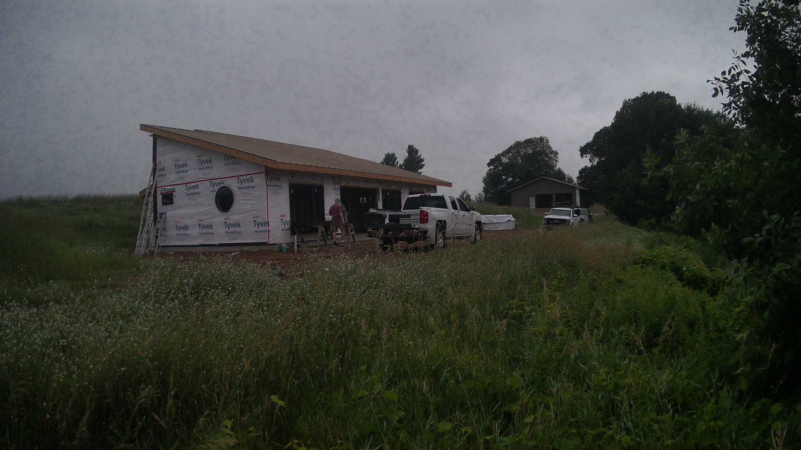A photo from the field camera