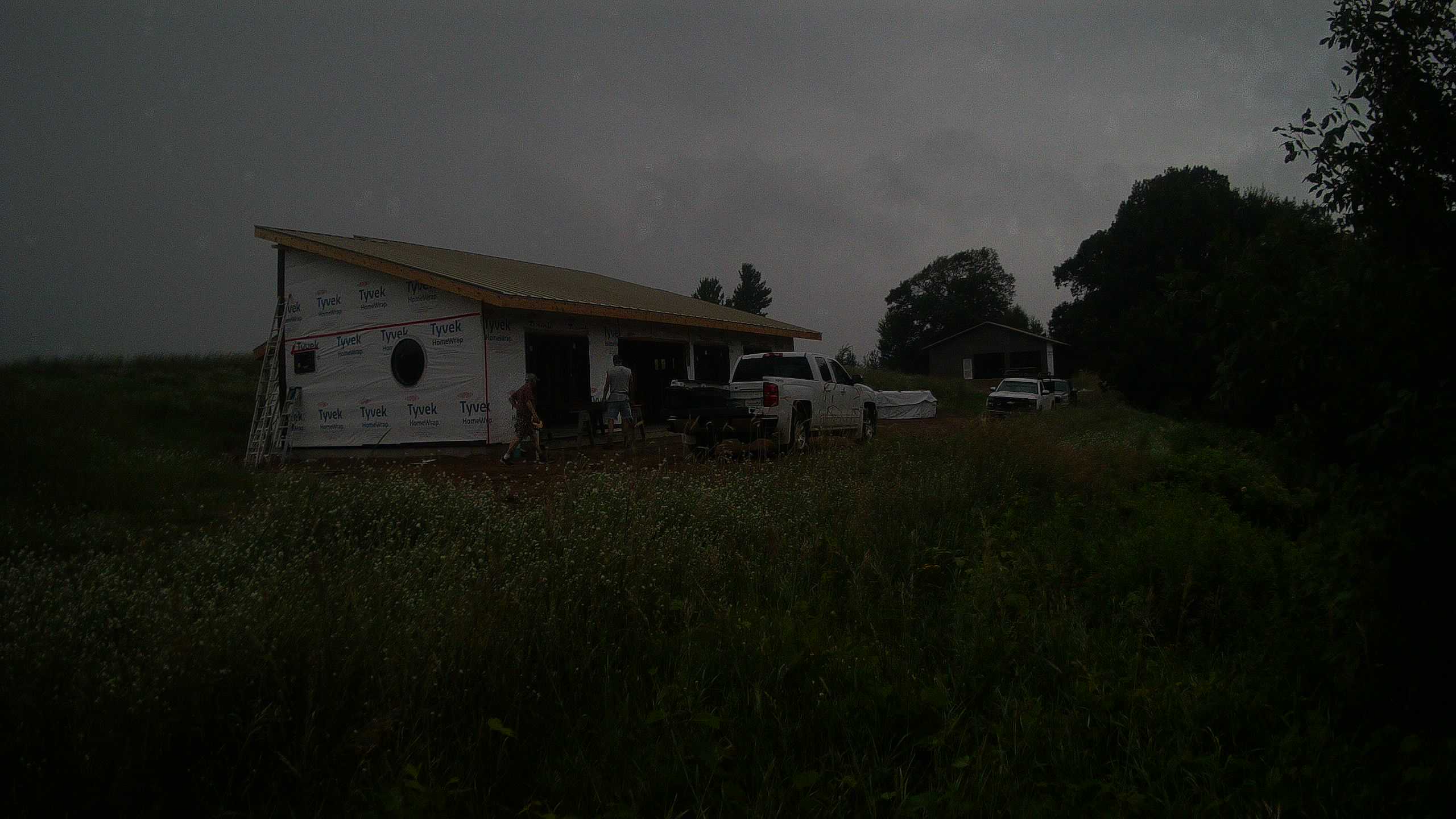 A photo from the field camera