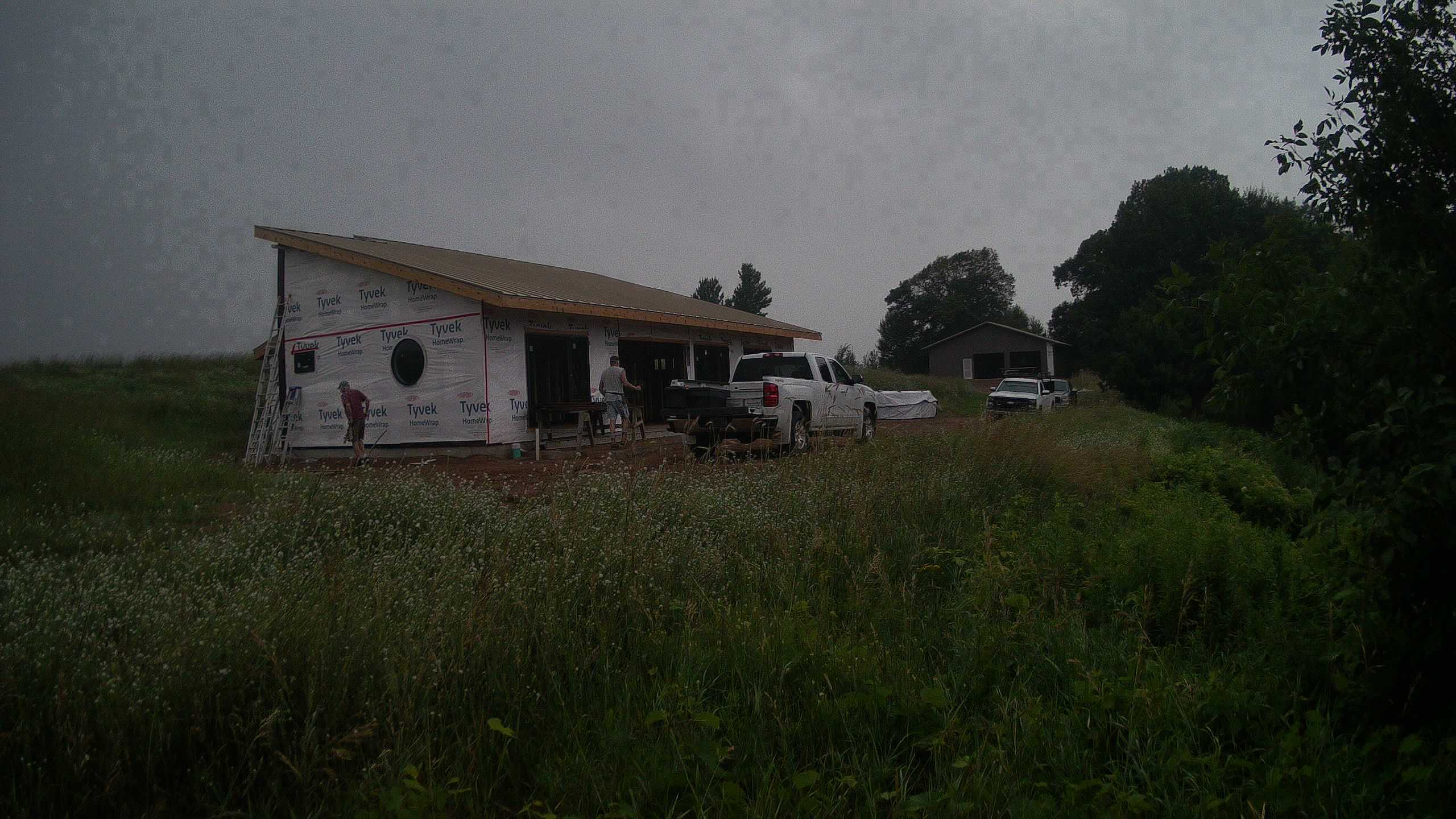A photo from the field camera