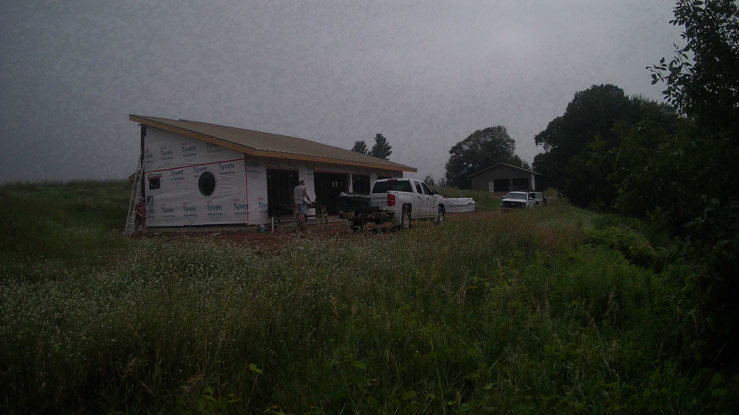 A photo from the field camera